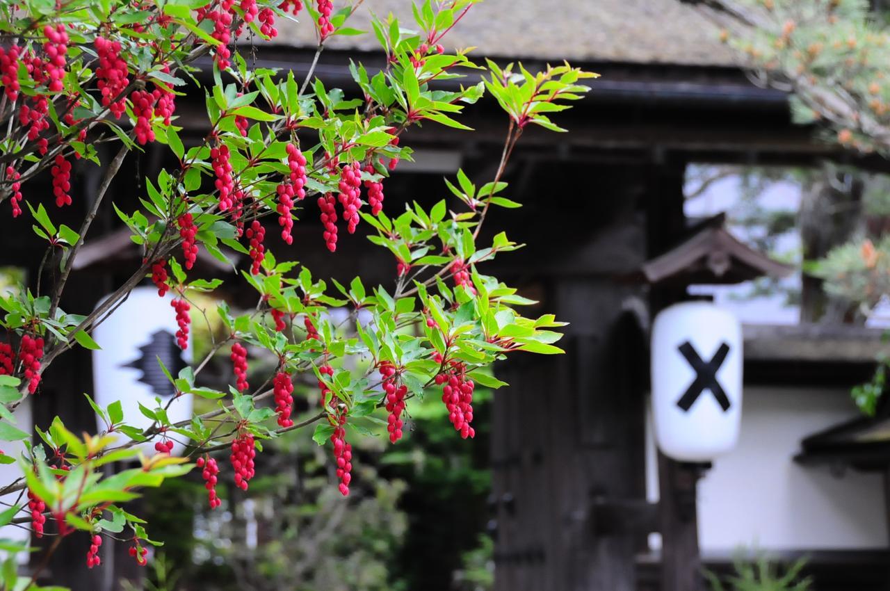 Sanboin Hotell Koyasan Exteriör bild